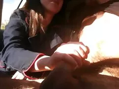 Inserté mi gran poll ...